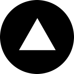 lastradainsicurezza.it favicon
